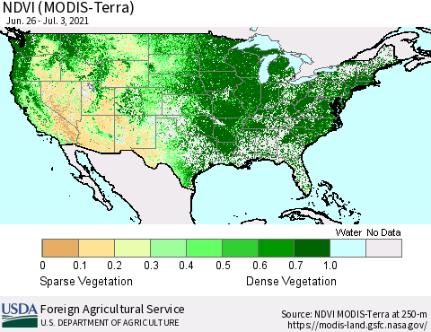 United States NDVI (Terra-MODIS) Thematic Map For 7/1/2021 - 7/10/2021
