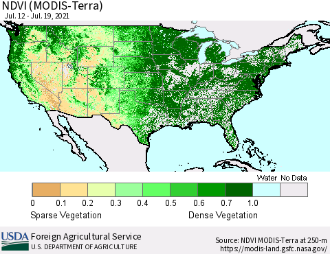 United States NDVI (Terra-MODIS) Thematic Map For 7/11/2021 - 7/20/2021