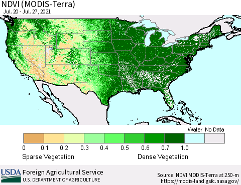 United States NDVI (Terra-MODIS) Thematic Map For 7/21/2021 - 7/31/2021