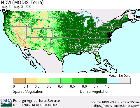 United States NDVI (Terra-MODIS) Thematic Map For 8/21/2021 - 8/31/2021