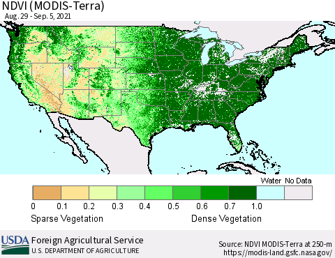United States NDVI (Terra-MODIS) Thematic Map For 9/1/2021 - 9/10/2021