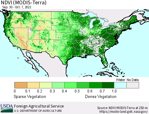United States NDVI (Terra-MODIS) Thematic Map For 10/1/2021 - 10/10/2021