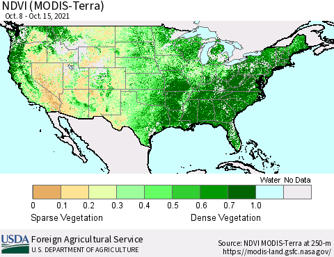 United States NDVI (Terra-MODIS) Thematic Map For 10/11/2021 - 10/20/2021