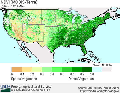 United States NDVI (Terra-MODIS) Thematic Map For 11/1/2021 - 11/10/2021