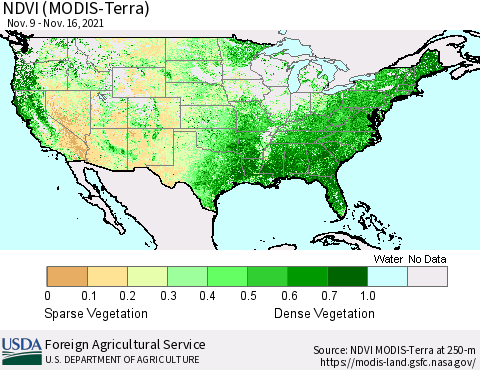 United States NDVI (Terra-MODIS) Thematic Map For 11/11/2021 - 11/20/2021