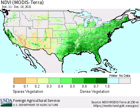 United States NDVI (Terra-MODIS) Thematic Map For 12/11/2021 - 12/20/2021