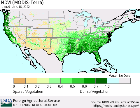 United States NDVI (Terra-MODIS) Thematic Map For 1/11/2022 - 1/20/2022