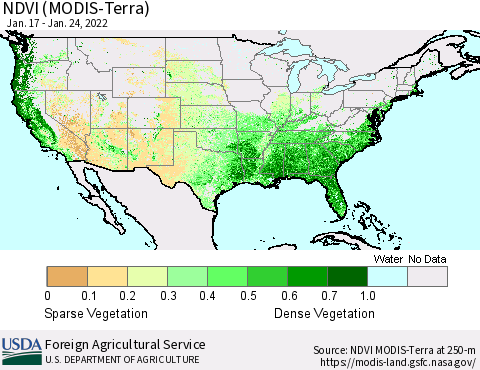 United States NDVI (Terra-MODIS) Thematic Map For 1/21/2022 - 1/31/2022