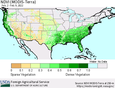 United States NDVI (Terra-MODIS) Thematic Map For 2/1/2022 - 2/10/2022