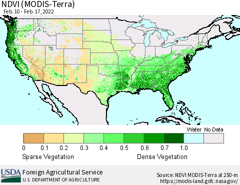 United States NDVI (Terra-MODIS) Thematic Map For 2/11/2022 - 2/20/2022