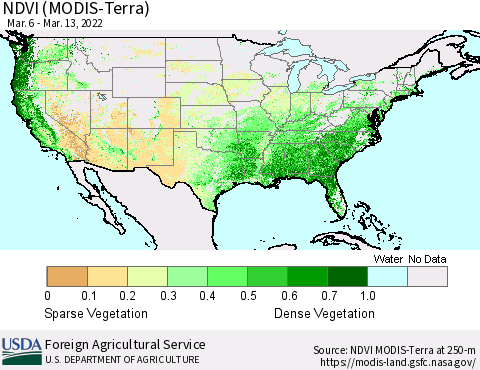 United States NDVI (Terra-MODIS) Thematic Map For 3/11/2022 - 3/20/2022