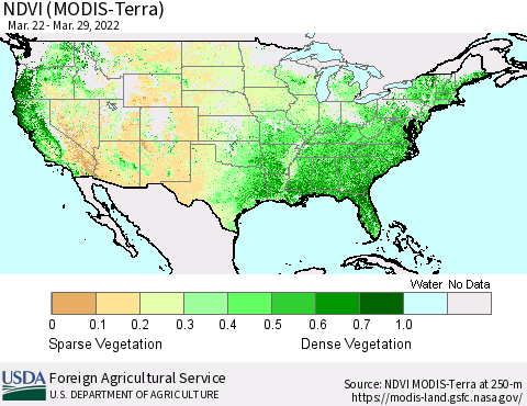 United States NDVI (Terra-MODIS) Thematic Map For 3/21/2022 - 3/31/2022