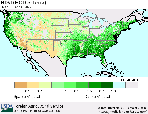 United States NDVI (Terra-MODIS) Thematic Map For 4/1/2022 - 4/10/2022