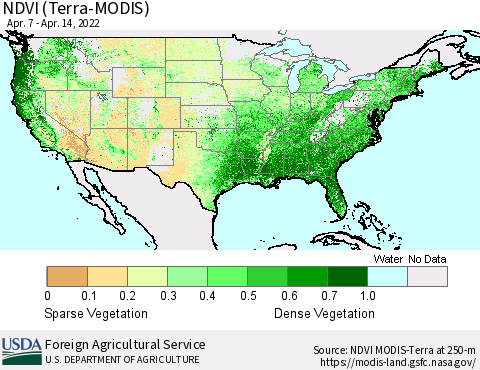 United States NDVI (Terra-MODIS) Thematic Map For 4/11/2022 - 4/20/2022