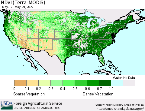 United States NDVI (Terra-MODIS) Thematic Map For 5/21/2022 - 5/31/2022