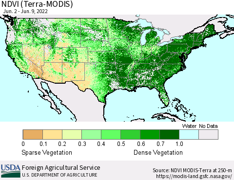 United States NDVI (Terra-MODIS) Thematic Map For 6/1/2022 - 6/10/2022