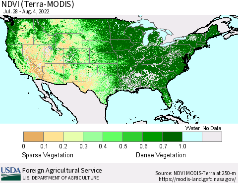 United States NDVI (Terra-MODIS) Thematic Map For 8/1/2022 - 8/10/2022