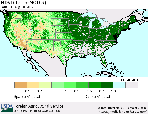 United States NDVI (Terra-MODIS) Thematic Map For 8/21/2022 - 8/31/2022