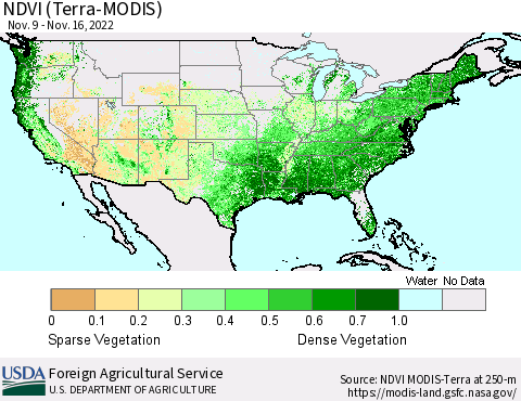 United States NDVI (Terra-MODIS) Thematic Map For 11/11/2022 - 11/20/2022