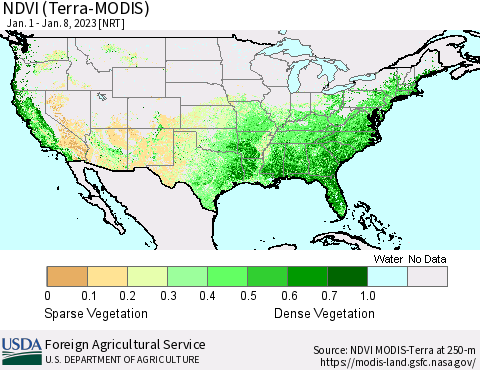 United States NDVI (Terra-MODIS) Thematic Map For 1/1/2023 - 1/10/2023