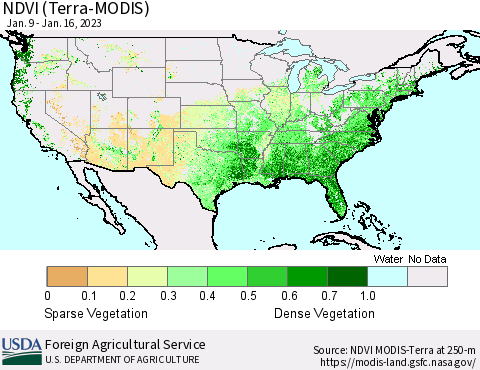 United States NDVI (Terra-MODIS) Thematic Map For 1/11/2023 - 1/20/2023