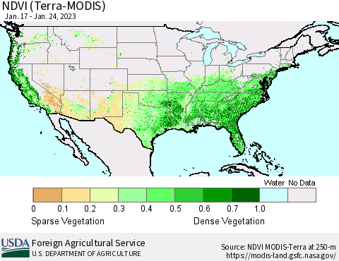 United States NDVI (Terra-MODIS) Thematic Map For 1/21/2023 - 1/31/2023