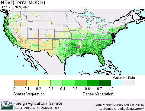 United States NDVI (Terra-MODIS) Thematic Map For 2/1/2023 - 2/10/2023
