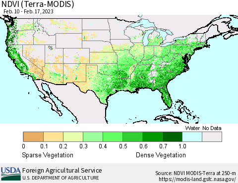 United States NDVI (Terra-MODIS) Thematic Map For 2/11/2023 - 2/20/2023