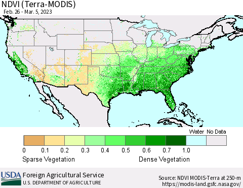 United States NDVI (Terra-MODIS) Thematic Map For 3/1/2023 - 3/10/2023