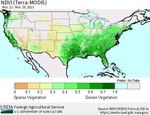 United States NDVI (Terra-MODIS) Thematic Map For 3/21/2023 - 3/31/2023
