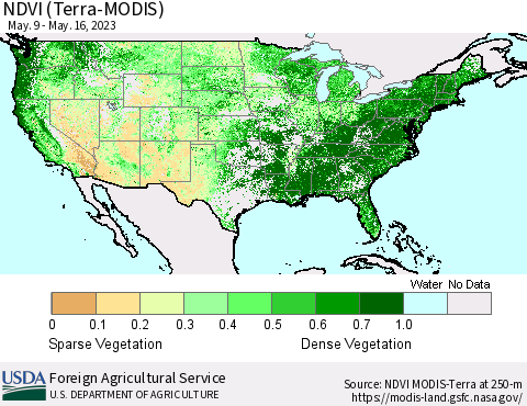 United States NDVI (Terra-MODIS) Thematic Map For 5/11/2023 - 5/20/2023