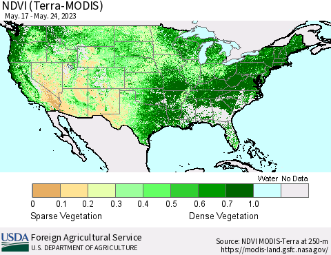 United States NDVI (Terra-MODIS) Thematic Map For 5/21/2023 - 5/31/2023