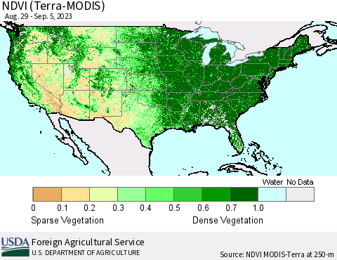 United States NDVI (Terra-MODIS) Thematic Map For 9/1/2023 - 9/10/2023