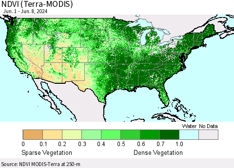 United States NDVI (Terra-MODIS) Thematic Map For 6/1/2024 - 6/8/2024