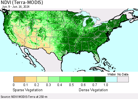 United States NDVI (Terra-MODIS) Thematic Map For 6/9/2024 - 6/16/2024
