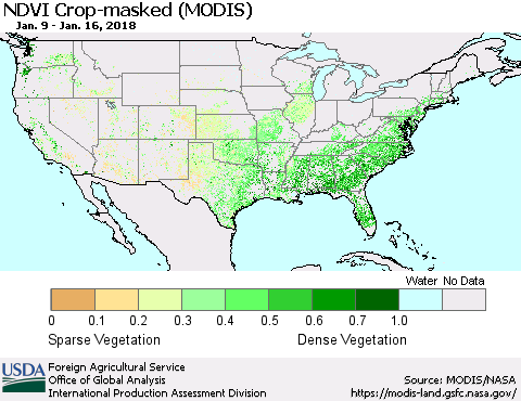 United States Cropland NDVI (Terra-MODIS) Thematic Map For 1/11/2018 - 1/20/2018