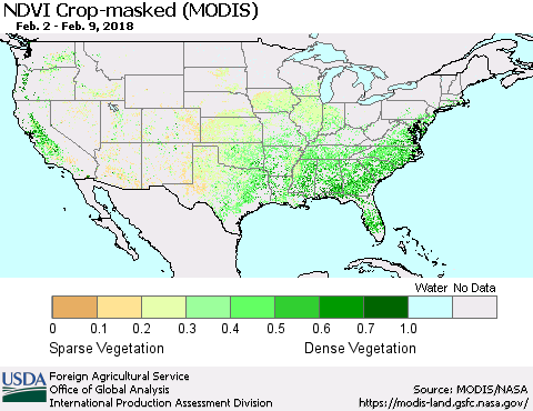 United States Cropland NDVI (Terra-MODIS) Thematic Map For 2/1/2018 - 2/10/2018