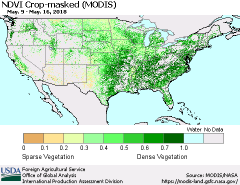 United States Cropland NDVI (Terra-MODIS) Thematic Map For 5/11/2018 - 5/20/2018