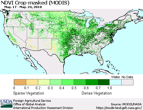 United States Cropland NDVI (Terra-MODIS) Thematic Map For 5/21/2018 - 5/31/2018