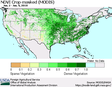 United States Cropland NDVI (Terra-MODIS) Thematic Map For 6/1/2018 - 6/10/2018
