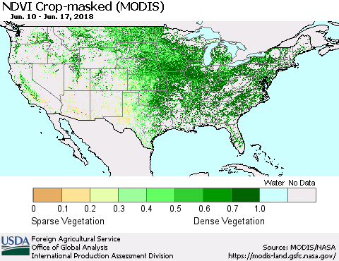 United States Cropland NDVI (Terra-MODIS) Thematic Map For 6/11/2018 - 6/20/2018