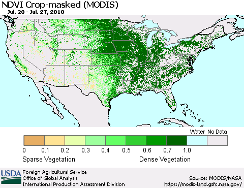 United States Cropland NDVI (Terra-MODIS) Thematic Map For 7/21/2018 - 7/31/2018