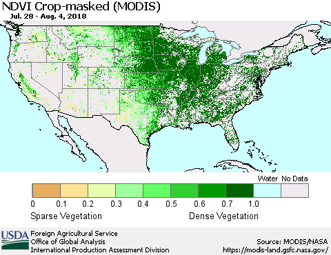United States Cropland NDVI (Terra-MODIS) Thematic Map For 8/1/2018 - 8/10/2018