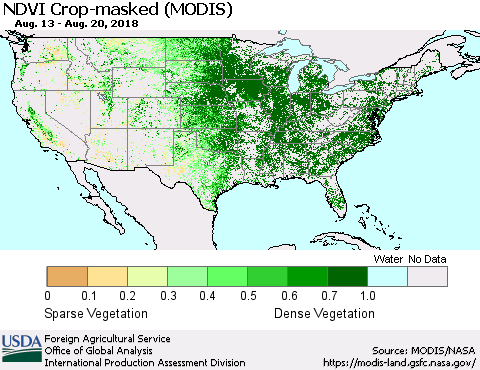 United States Cropland NDVI (Terra-MODIS) Thematic Map For 8/11/2018 - 8/20/2018