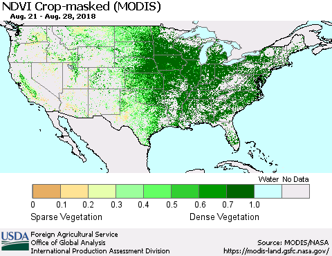 United States Cropland NDVI (Terra-MODIS) Thematic Map For 8/21/2018 - 8/31/2018