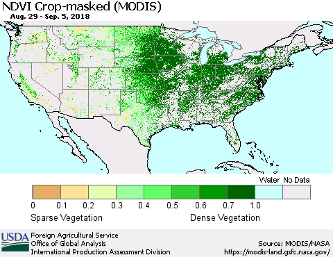 United States Cropland NDVI (Terra-MODIS) Thematic Map For 9/1/2018 - 9/10/2018