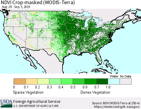 United States Cropland NDVI (Terra-MODIS) Thematic Map For 9/1/2019 - 9/10/2019