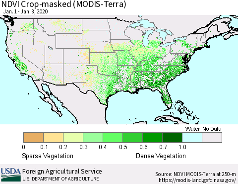 United States Cropland NDVI (Terra-MODIS) Thematic Map For 1/1/2020 - 1/10/2020