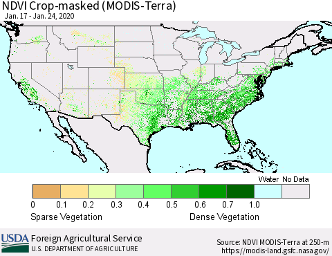 United States Cropland NDVI (Terra-MODIS) Thematic Map For 1/21/2020 - 1/31/2020