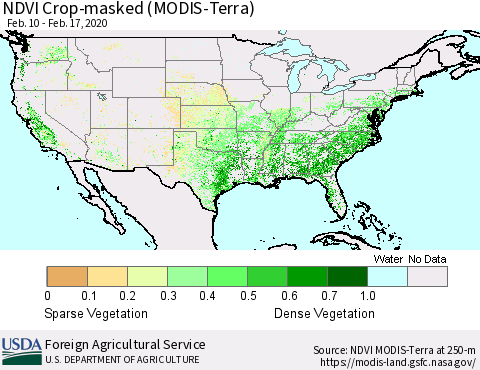 United States Cropland NDVI (Terra-MODIS) Thematic Map For 2/11/2020 - 2/20/2020